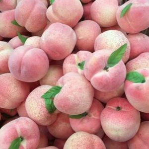 EVERYTHING MUST GO!!!!!!!